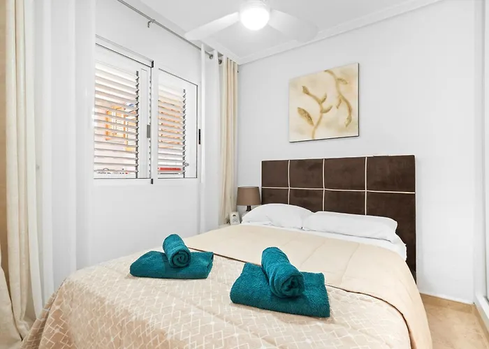 Casa Plugge 托雷维耶哈